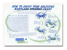 #313PM Paper Placemat Crabs